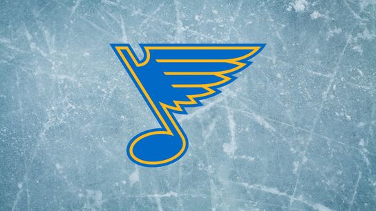 Blues Prospects Break Out: Dvorský Dominates, Springfield Erupts (St Louis Blues)