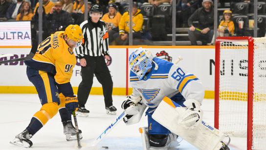 Why the Blues Keep Struggling in the Central Division (St Louis Blues)