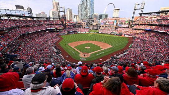 Cardinals Heating Up, Bringing Fans Back To Busch Stadium (St Louis Cardinals)